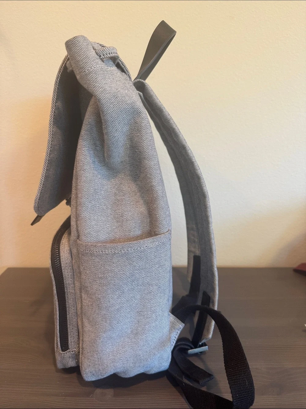 Everlane The Canvas Backpack with Front Pocket Unisex